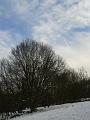 Blue sky, Winter, Hampstead Heath P1070455